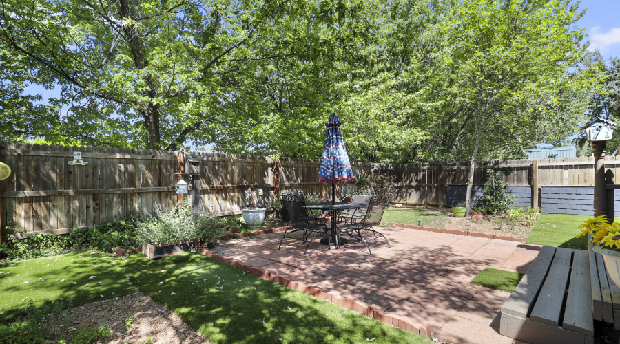 Back Patio