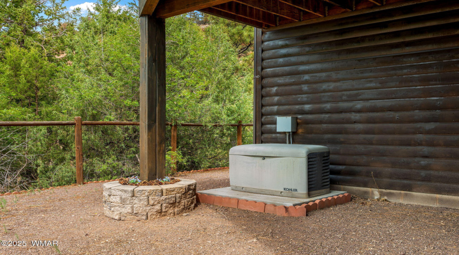 BACKYARD GENERATOR