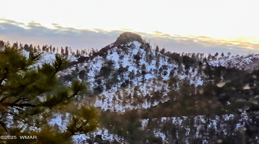 WINTER 2