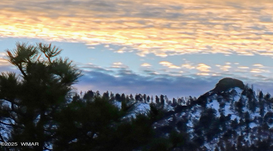 WINTER 3