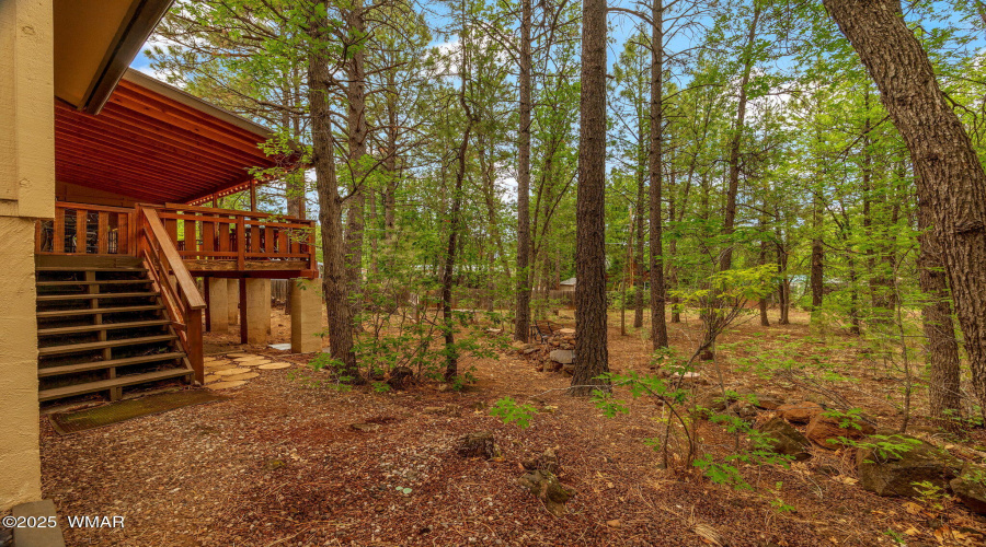Back yard