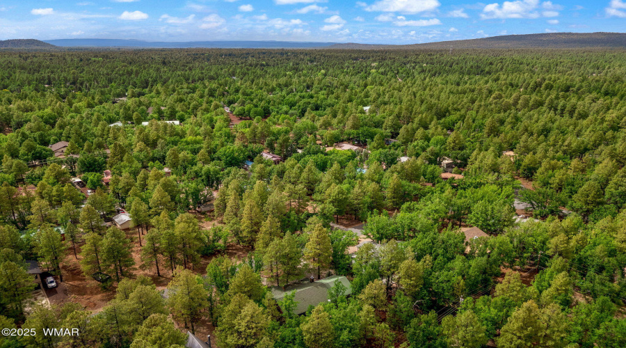 Aerial