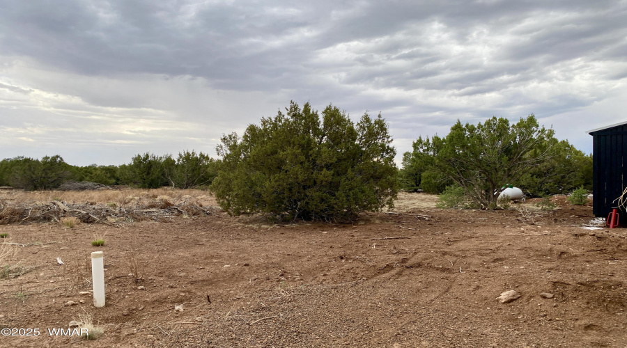 10.19 Acres
