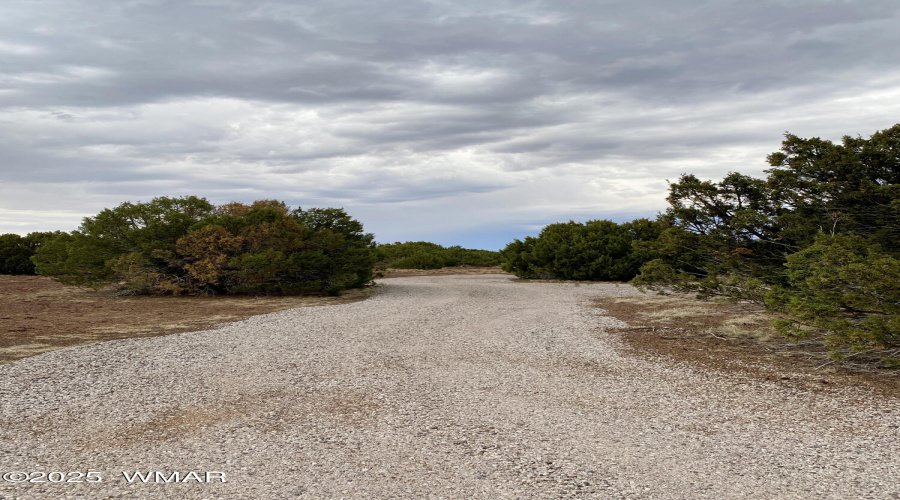 Road into property