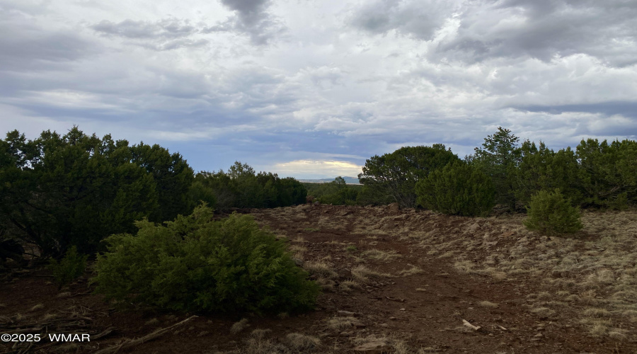 Area Photo