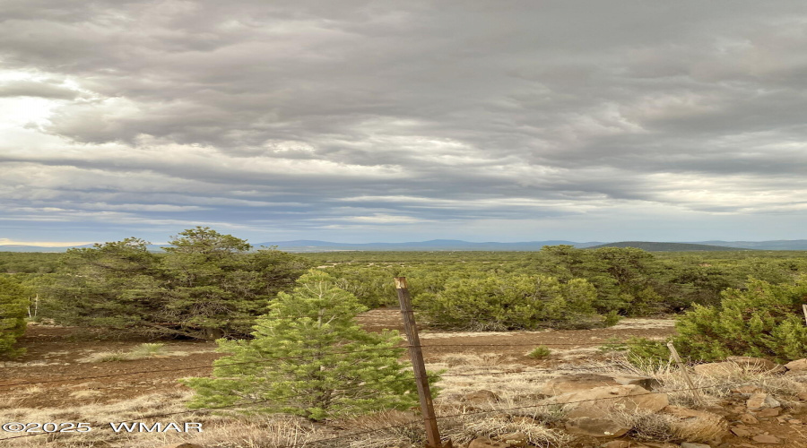 Area Photo4
