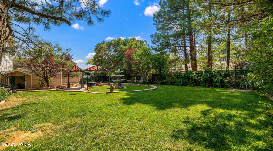 Mature Trees in Backyard