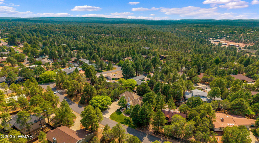 Aerial View of Community