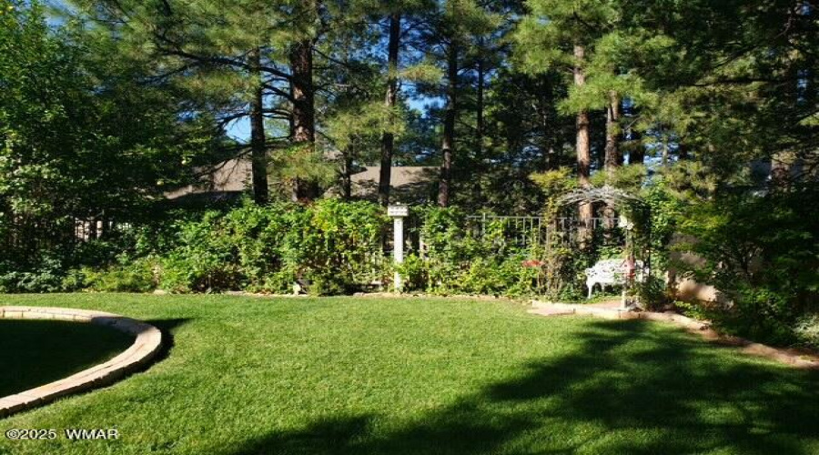 Lush Green Grass