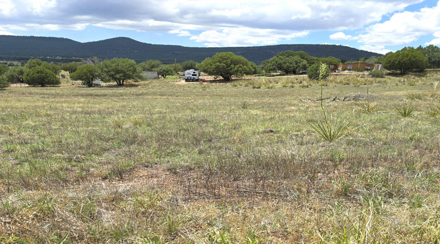 Prcl 4 Neighbor to S