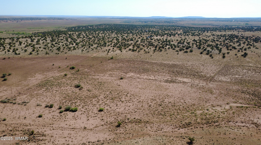 DJI_0114