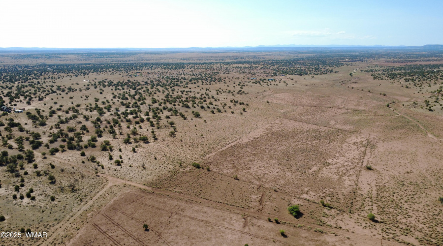 DJI_0116