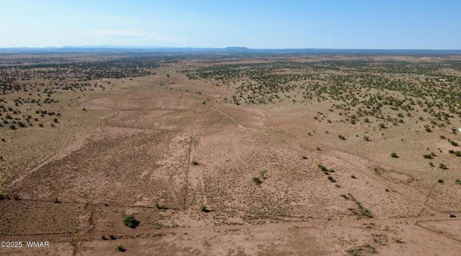 DJI_0117