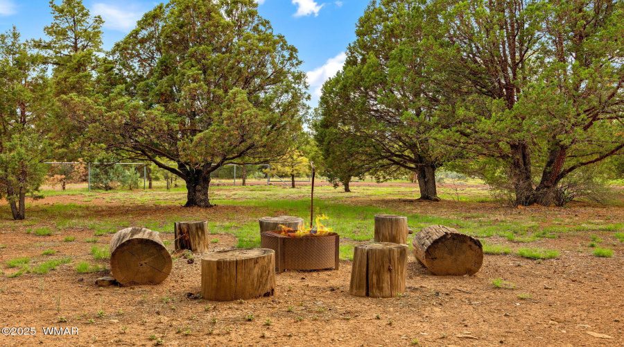 53CountyRoad2022-Nutrioso-AZ-9