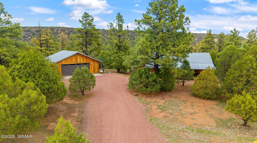 53CountyRoad2022-Nutrioso-AZ-21