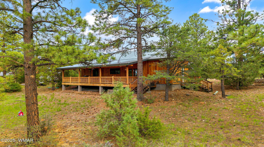 53CountyRoad2022-Nutrioso-AZ-7