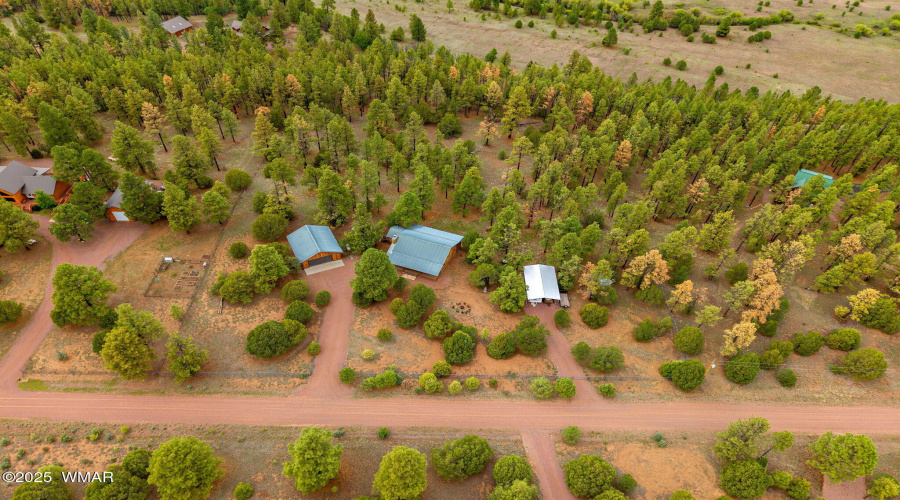 53CountyRoad2022-Nutrioso-AZ-20