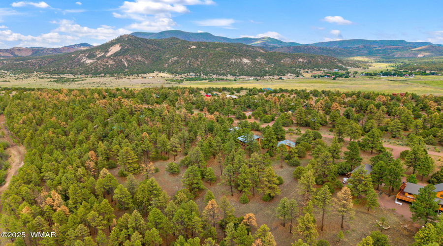 53CountyRoad2022-Nutrioso-AZ-22