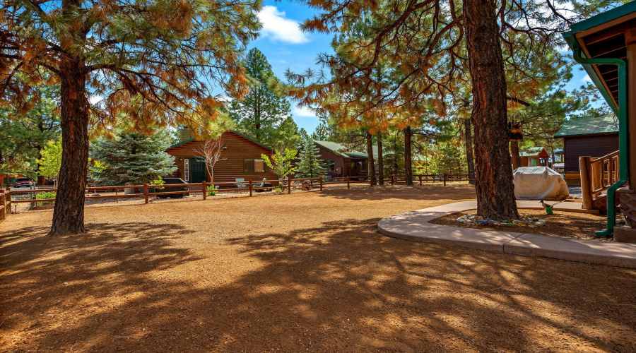2692PalominoTrail-HeberOvergaard-AZ-21