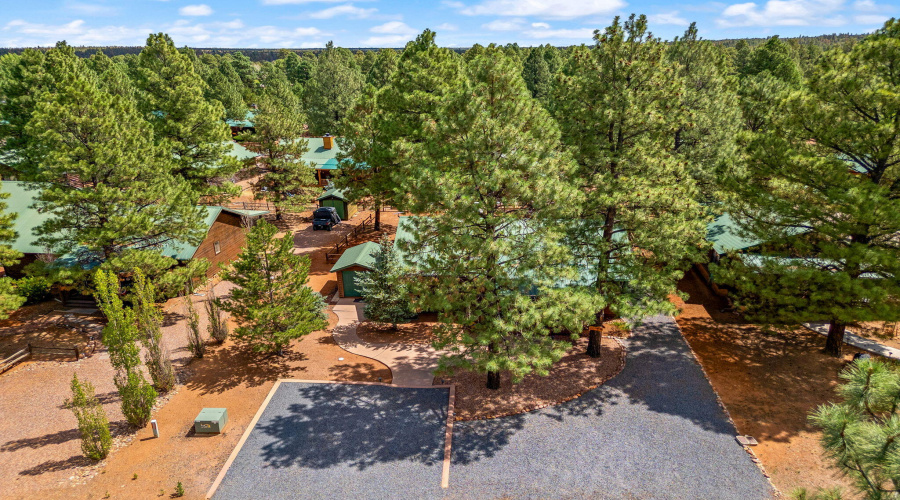 2692PalominoTrail-HeberOvergaard-AZ-26