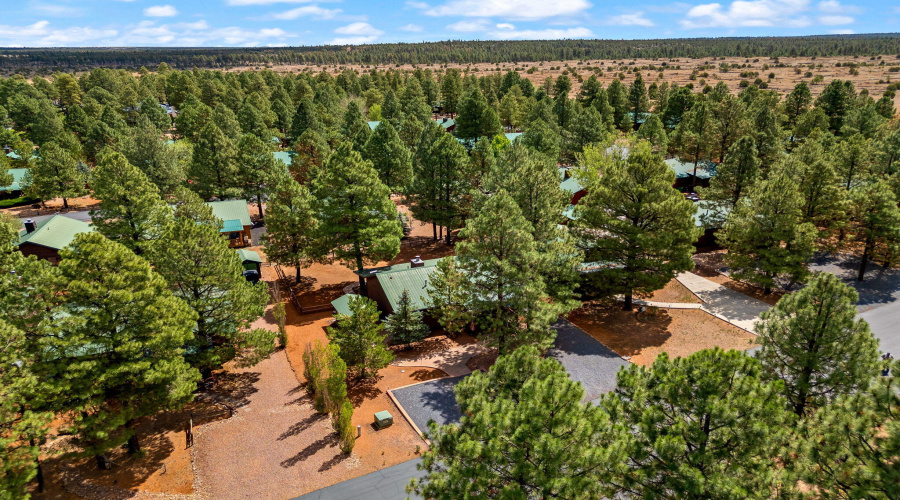 2692PalominoTrail-HeberOvergaard-AZ-27