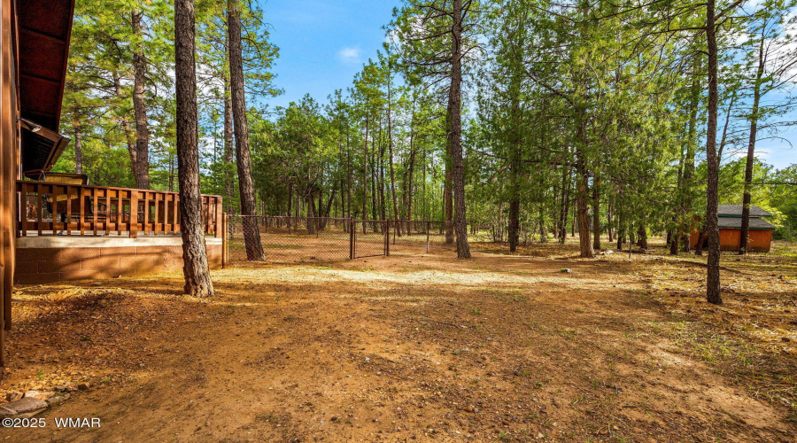 297FoxLn-Lakeside-AZ-51