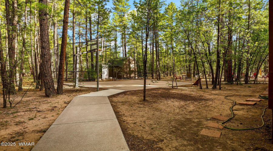 297FoxLn-Lakeside-AZ-61