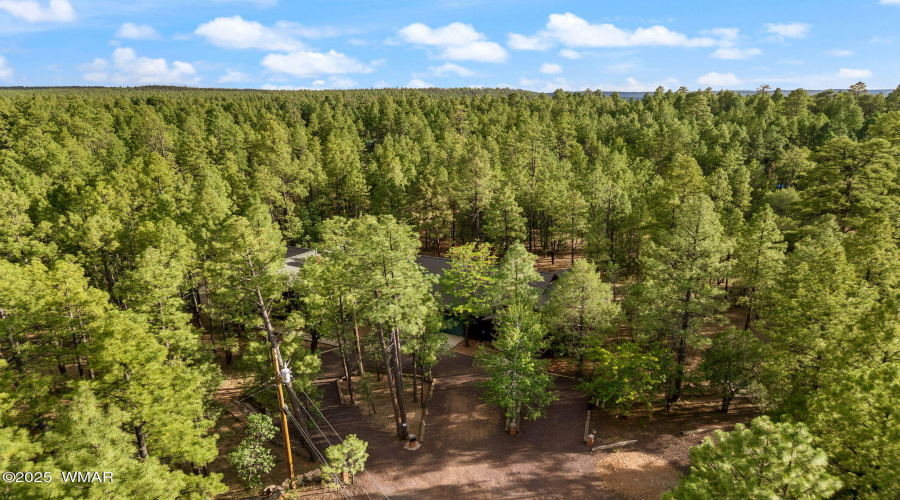 297FoxLn-Lakeside-AZ-63