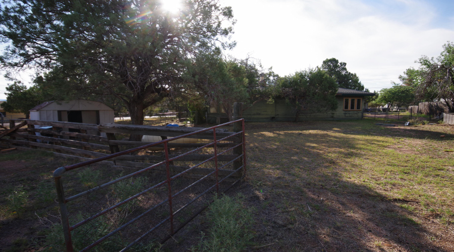 Yard