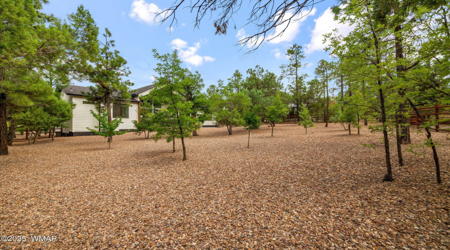 5964LuminaryWay-Lakeside-AZ-36