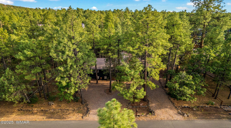 231PonderosaDr-PinetopLakeside-AZ-42