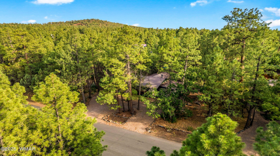 231PonderosaDr-PinetopLakeside-AZ-43