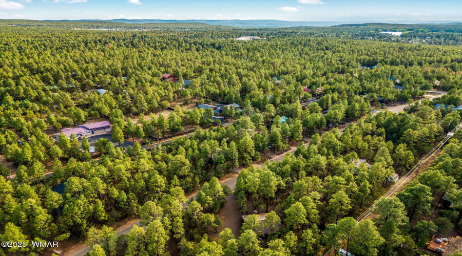 231PonderosaDr-PinetopLakeside-AZ-47