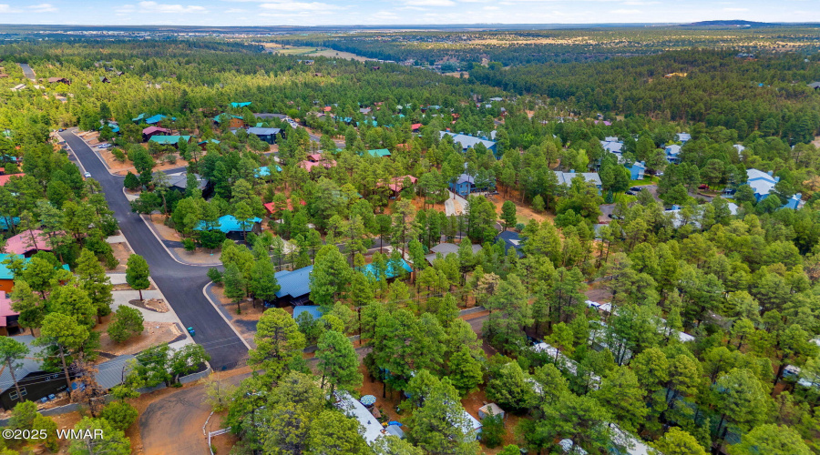 Drone Drive