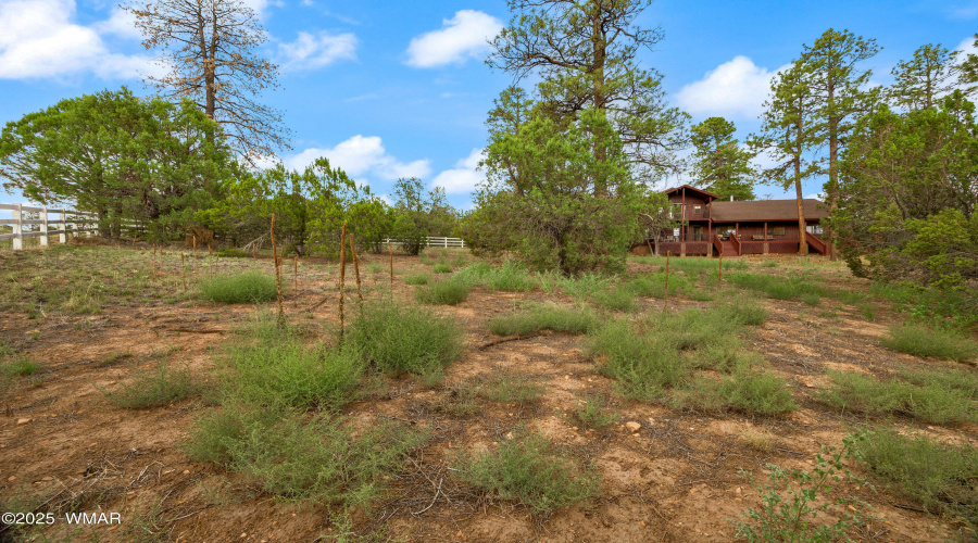 3045AspenRd-Heber-AZ-34