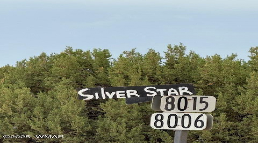 Silver Start 8015