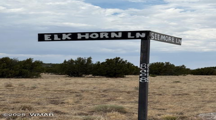 Elk Horn 8008