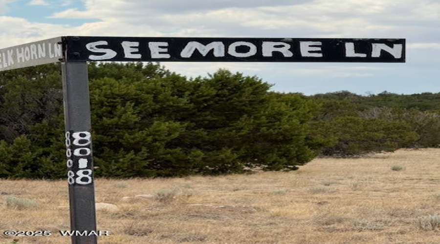 Seemore 8018