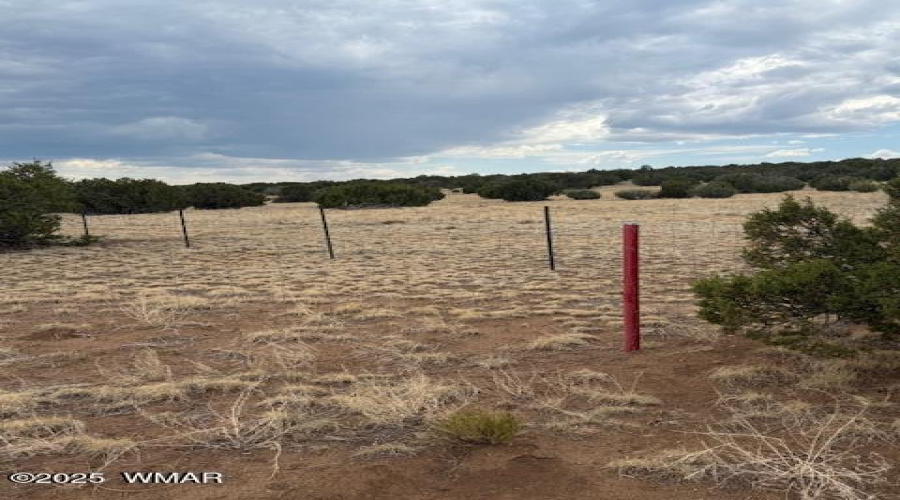 Fence