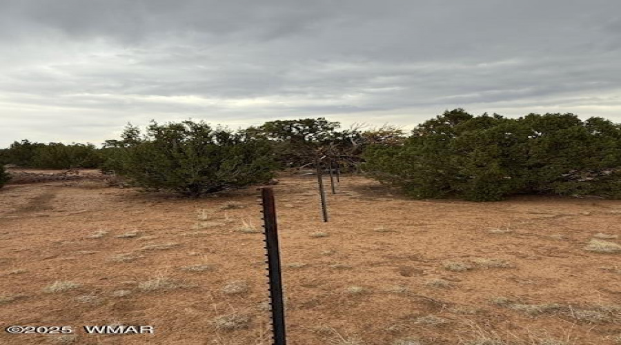 Wire Fence