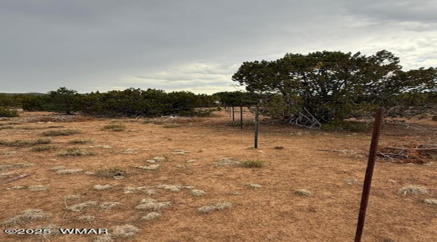 Wire Fence