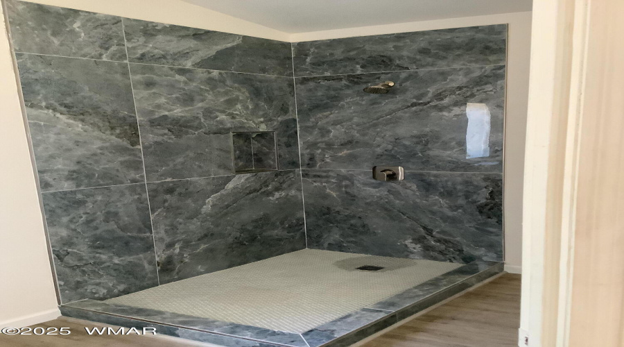Primary Shower