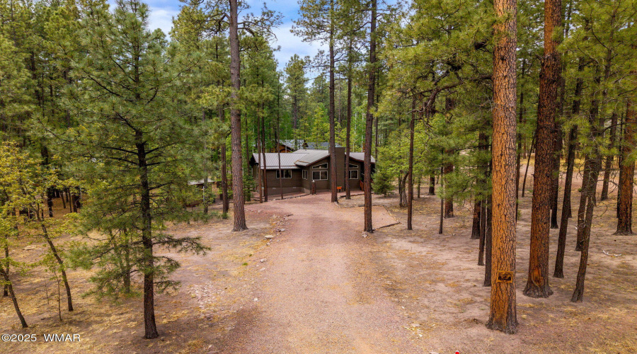 2CountyRd2069-Alpine-AZ-2