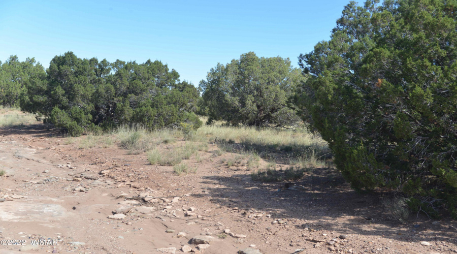 New Land Listings 078