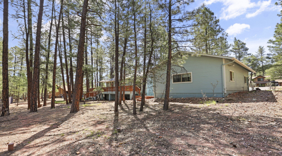Side yard