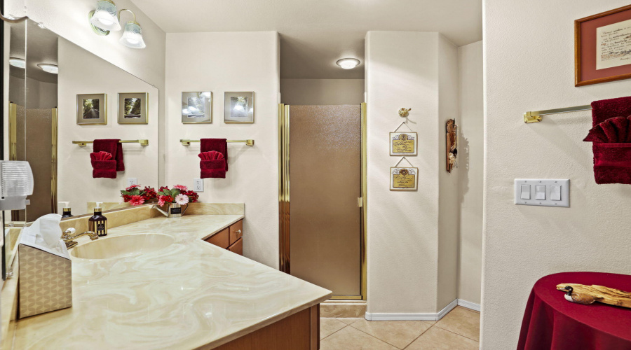Primary bathroom