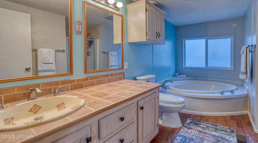 Primary Vanity