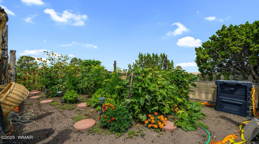 1158SKyCrestDr-Eagar-AZ-38