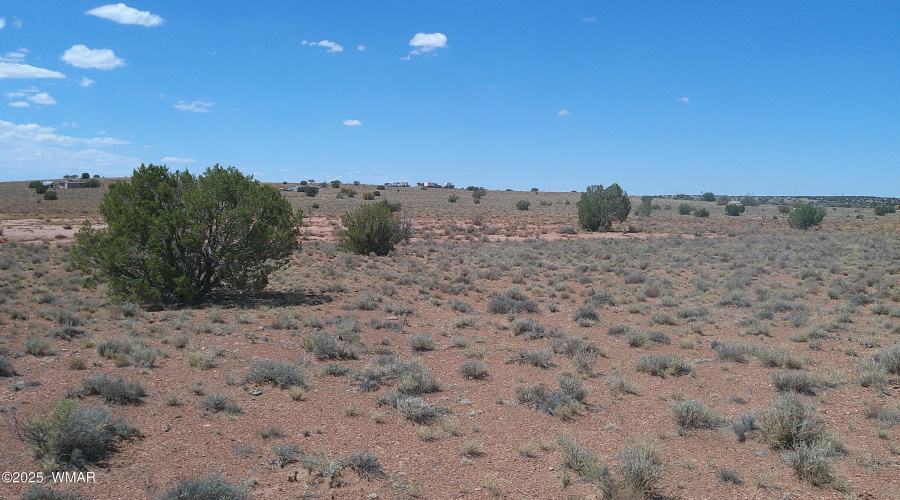 DSCF0008