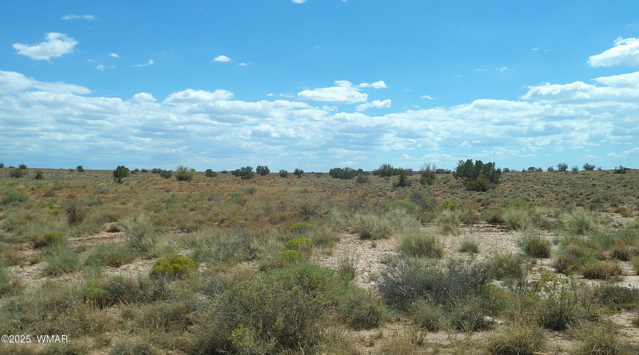 DSCF0021